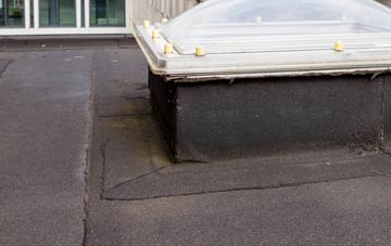 disadvantages of Dunragit flat roofs