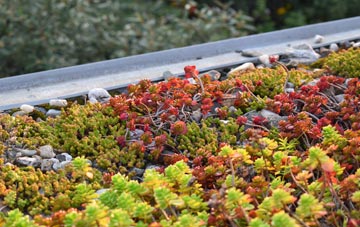 the cost of Dunragit green roof installation