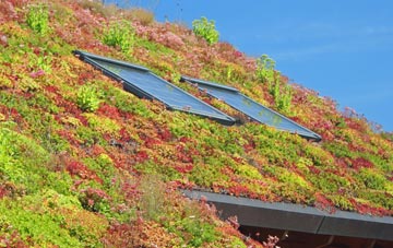 Dunragit living roof systems