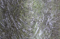 Dunragit fibreglass roof work